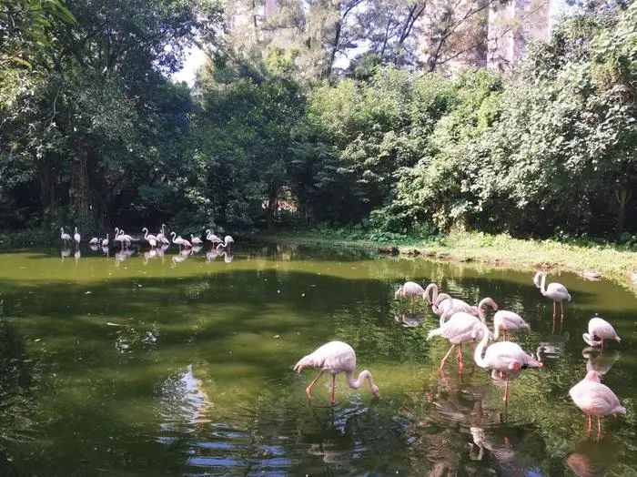 日照海洋公园闭园时间,海昌海洋公园开园闭园时间