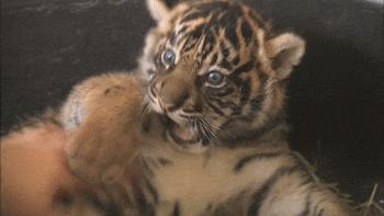 京津冀95元景点大全,京津冀99元景区