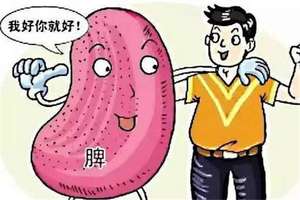 大便粘马桶湿气重怎么调理,大便粘马桶是湿气重的表现吗