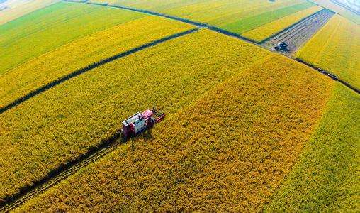 不可不知的三大商业法则,集体土地入股的合作模式