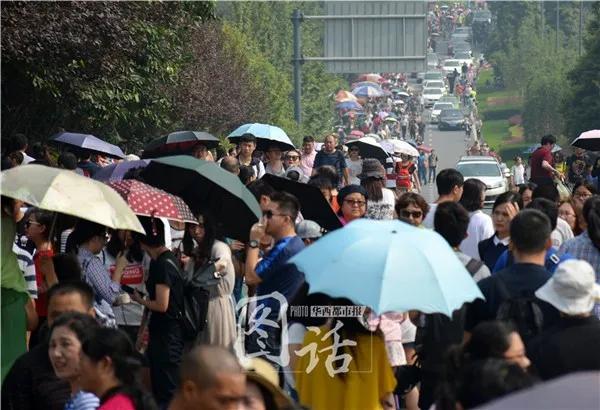 1h刹拢！想看大熊猫就去这3个地方，人少像包场，散养小熊猫