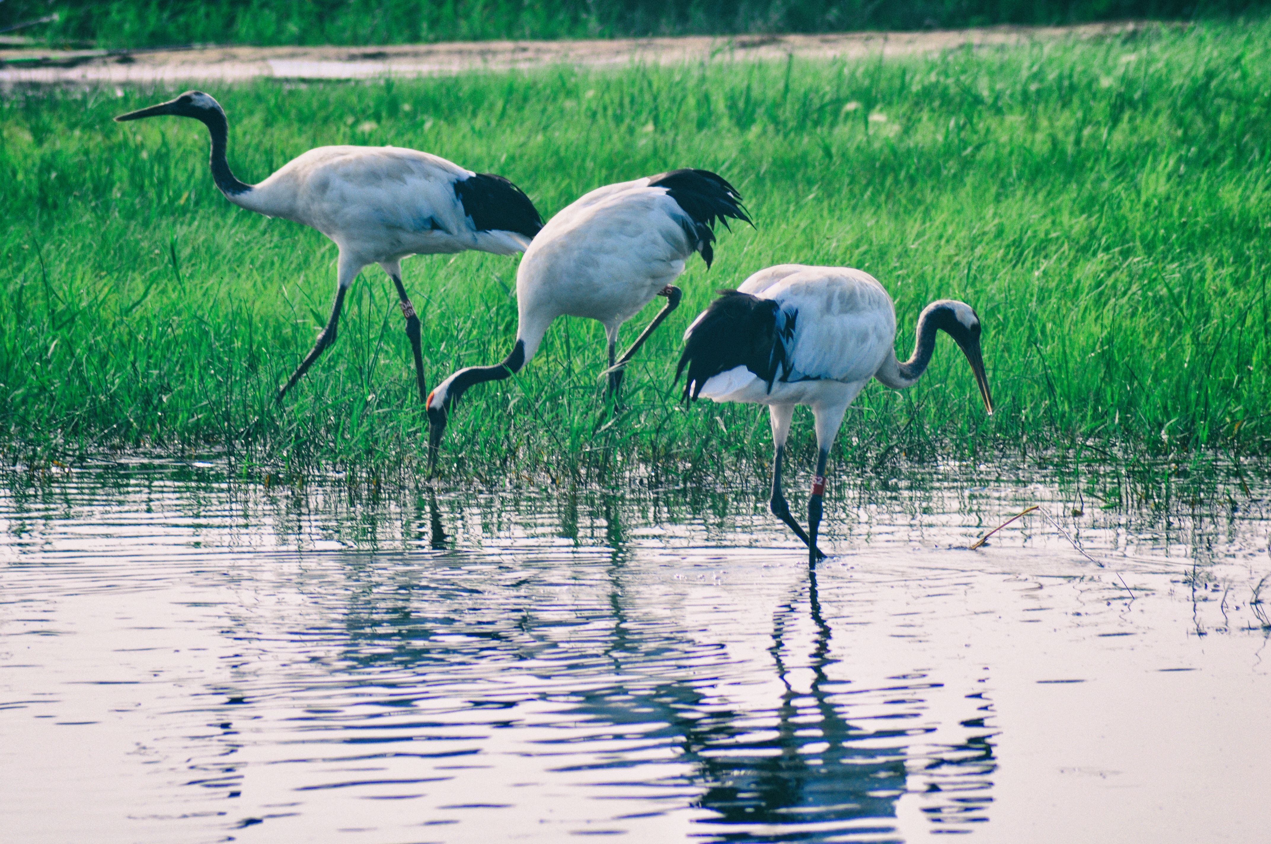 东北边疆,东北行游记2019