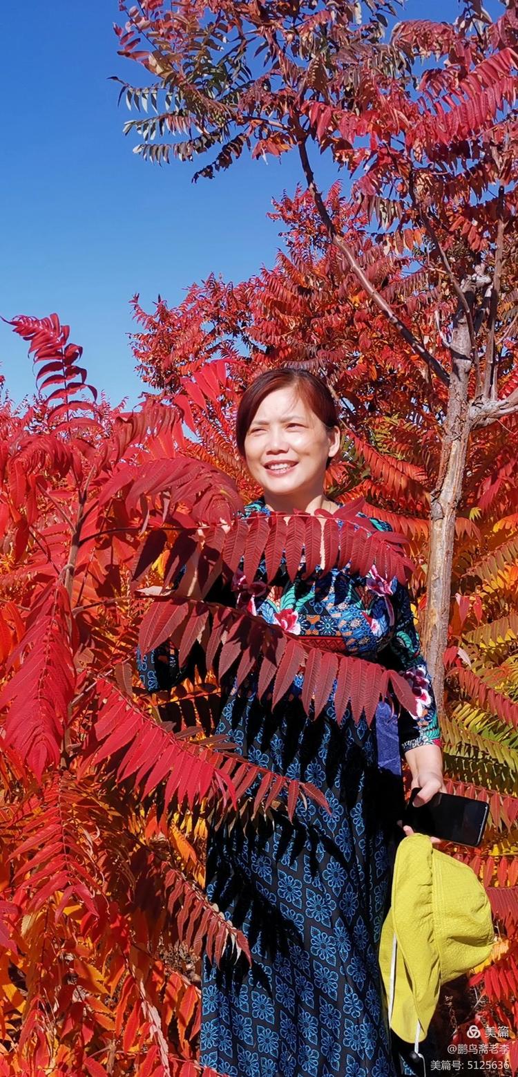 赤峰日报蒙古文,赤峰日报2005