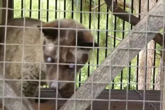 只为一串佛珠，他活剥了我妈的皮：人心有多可怕，你根本想象不到