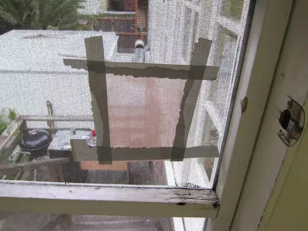 只用一只塑料瓶马桶不脏不臭,马桶难闻只需要一双袜子搞定