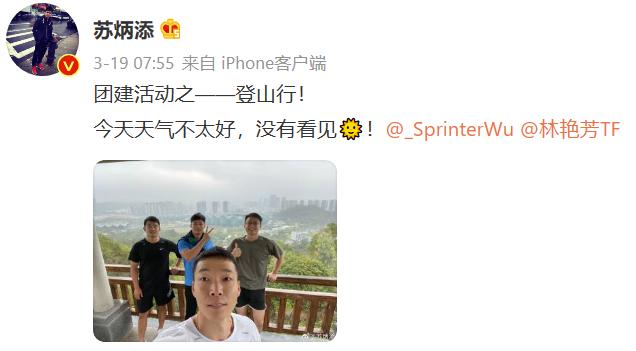 张继科刘诗雯扣球,张继科曾经猛追刘诗雯