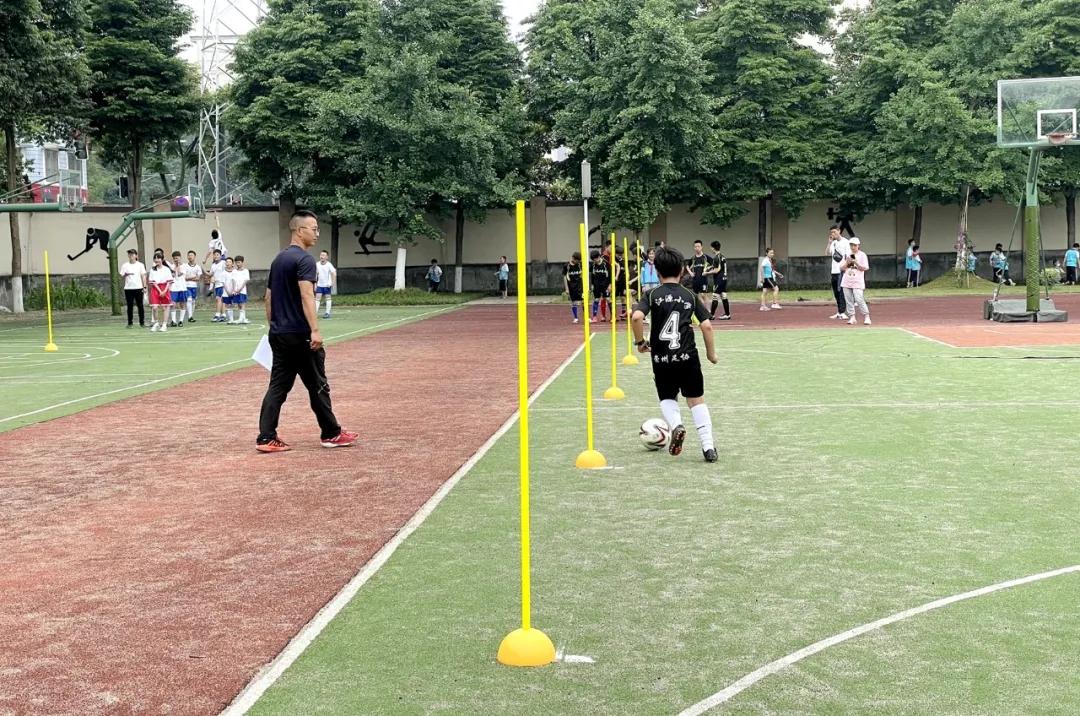 芳菲地,芳菲大地