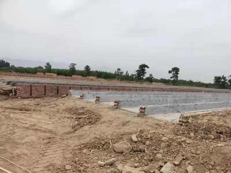 【周检·“我为群众办实事”】强担当、勇作为，推进“我为群众办实事”落细落实