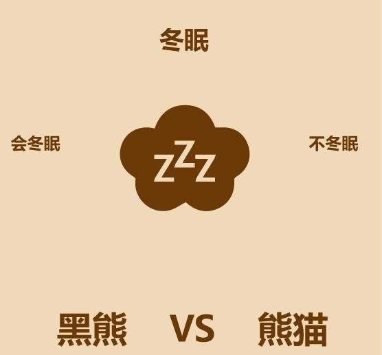 1分钟内黑熊走多远,大熊猫和黑熊谁厉害