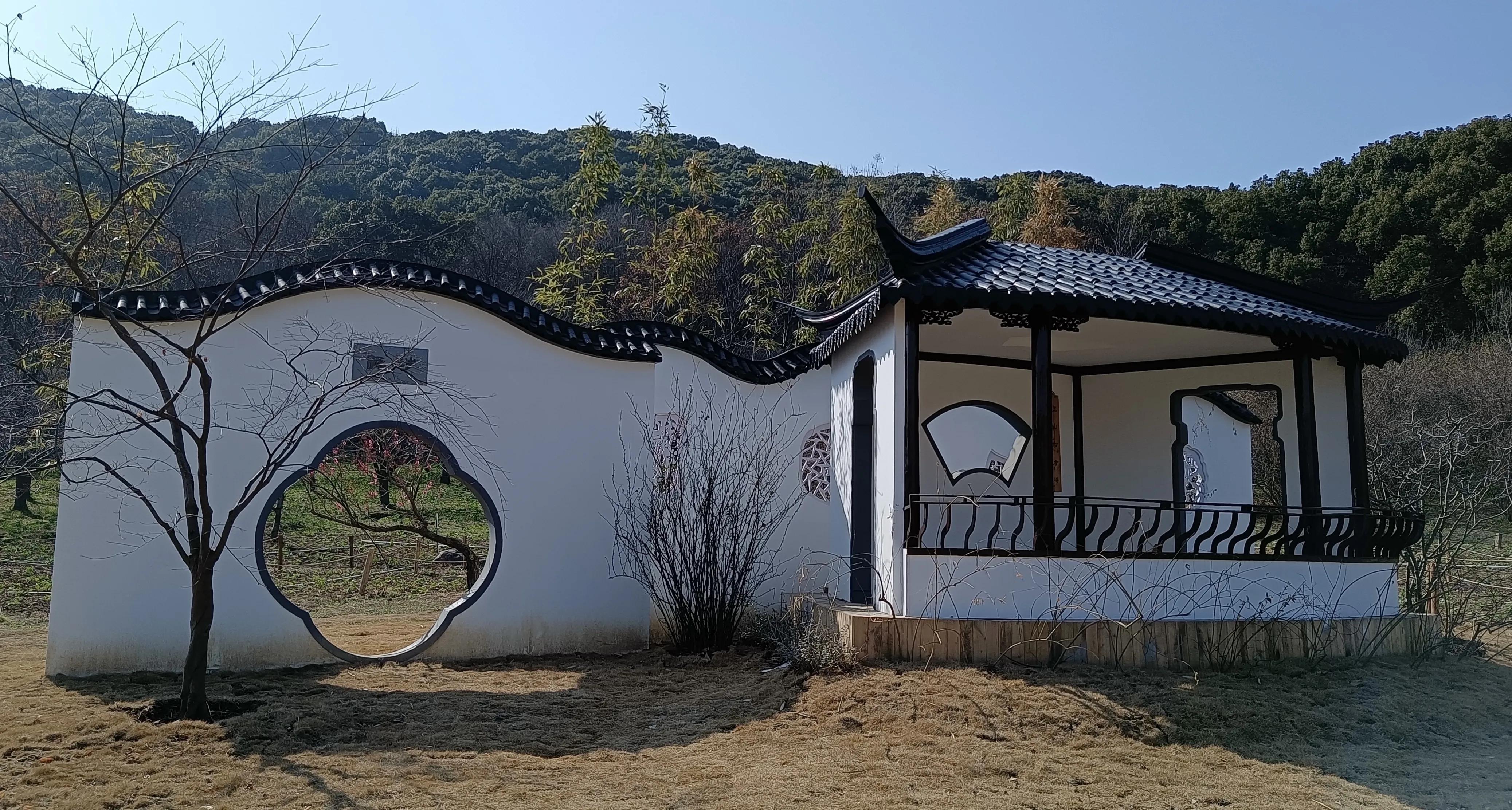 上方山森林公园作文,上方山森林公园动物世界