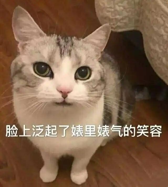 夏日清凉精油首选薄荷,清凉的薄荷精油