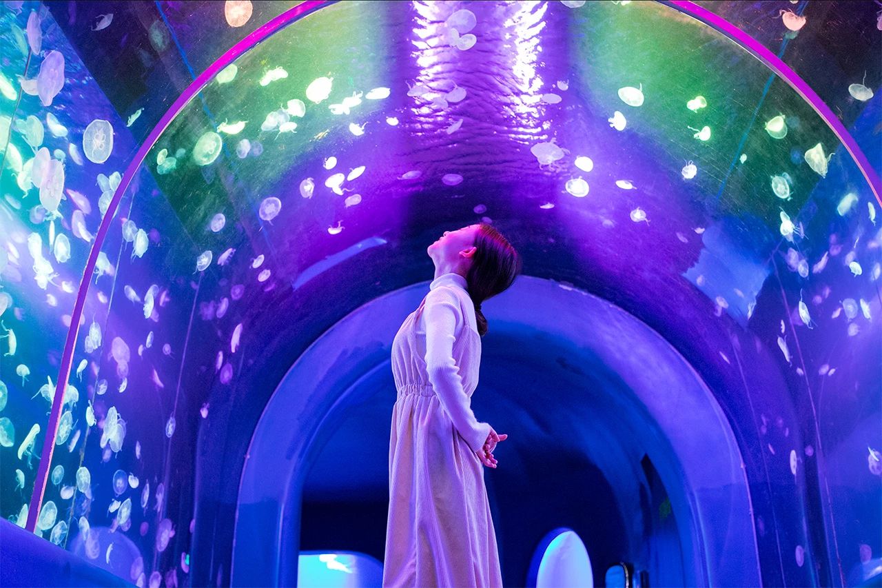 深圳游玩合集,深圳世界之窗游玩攻略必玩项目