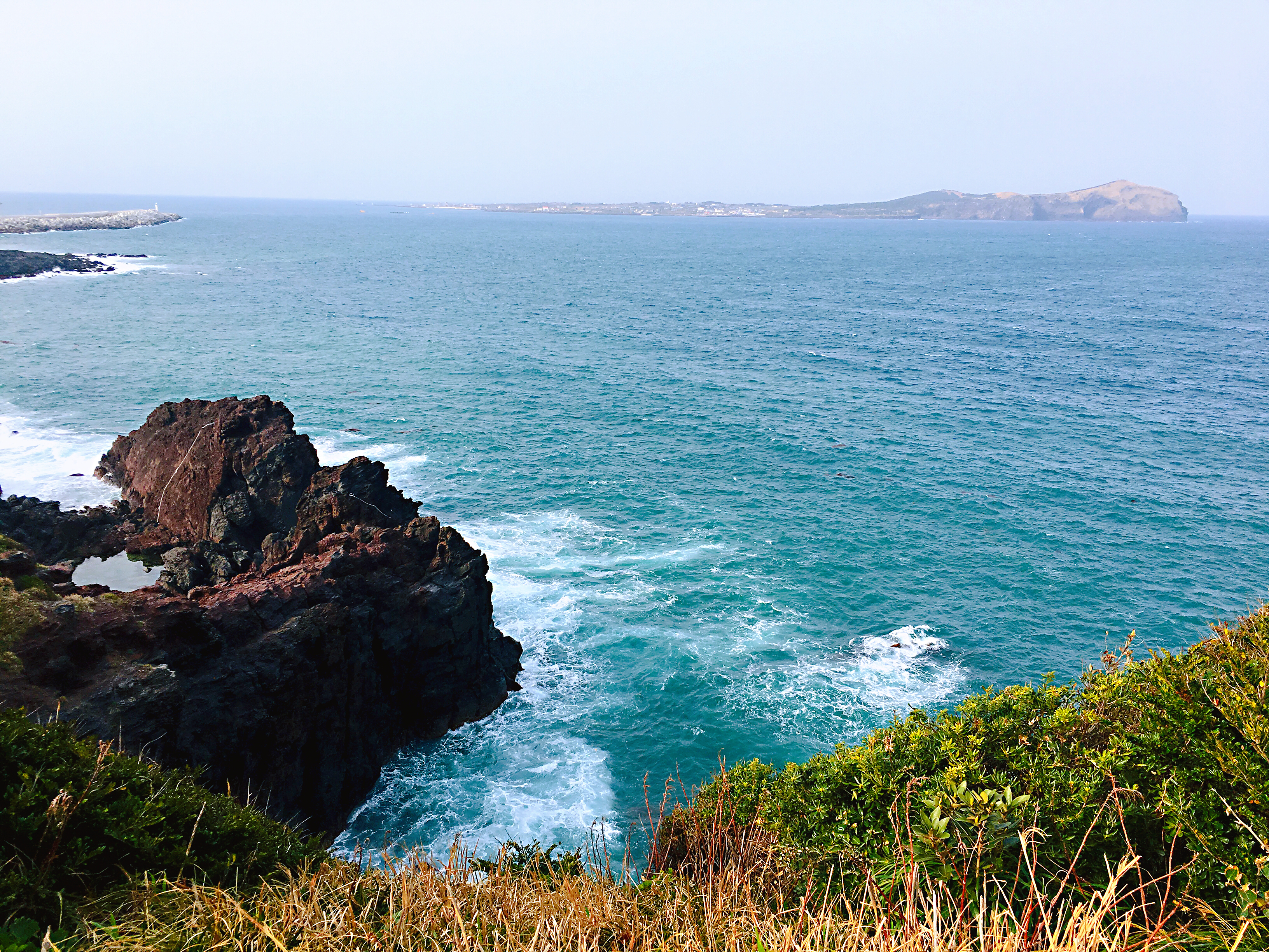 出国游玩新手小白,出国去韩国济州岛打工