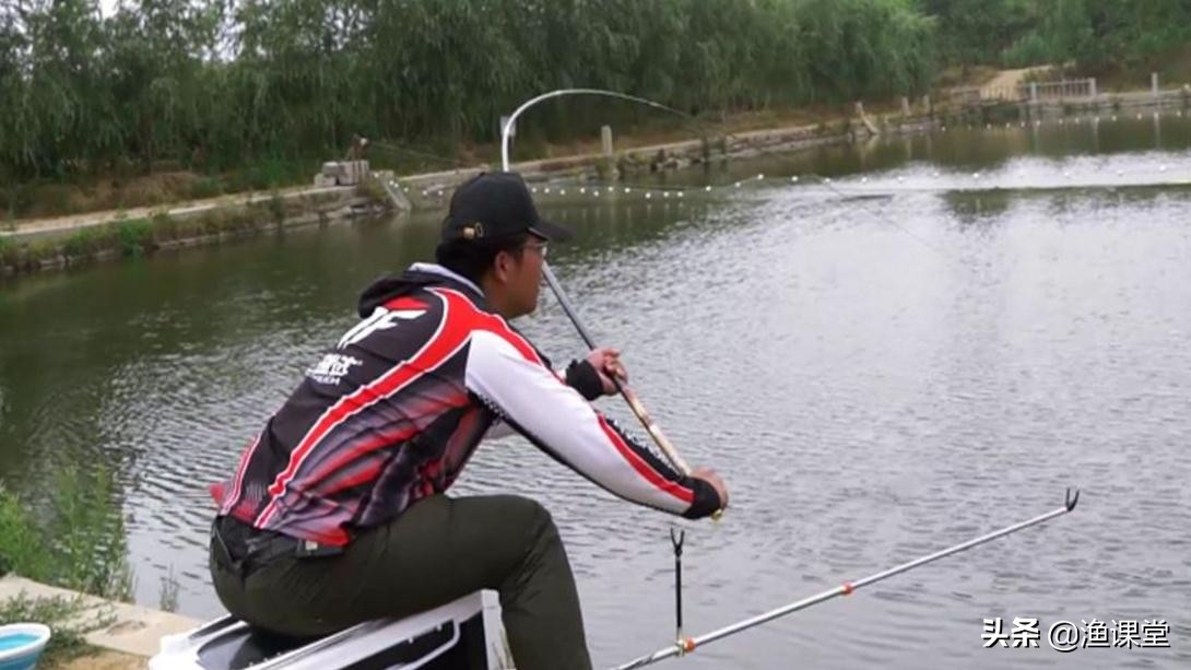 如何钓大鲤鱼用什么饵,怎样钓大鲤鱼效果最好