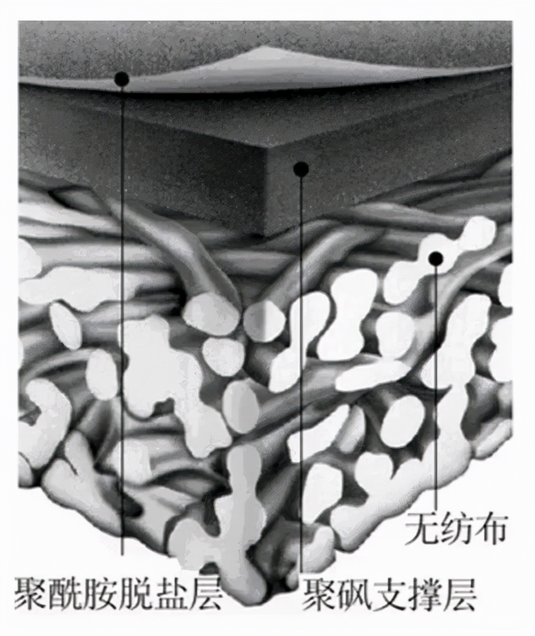 ro反渗透膜哪个最好,花一分钟教你分析图
