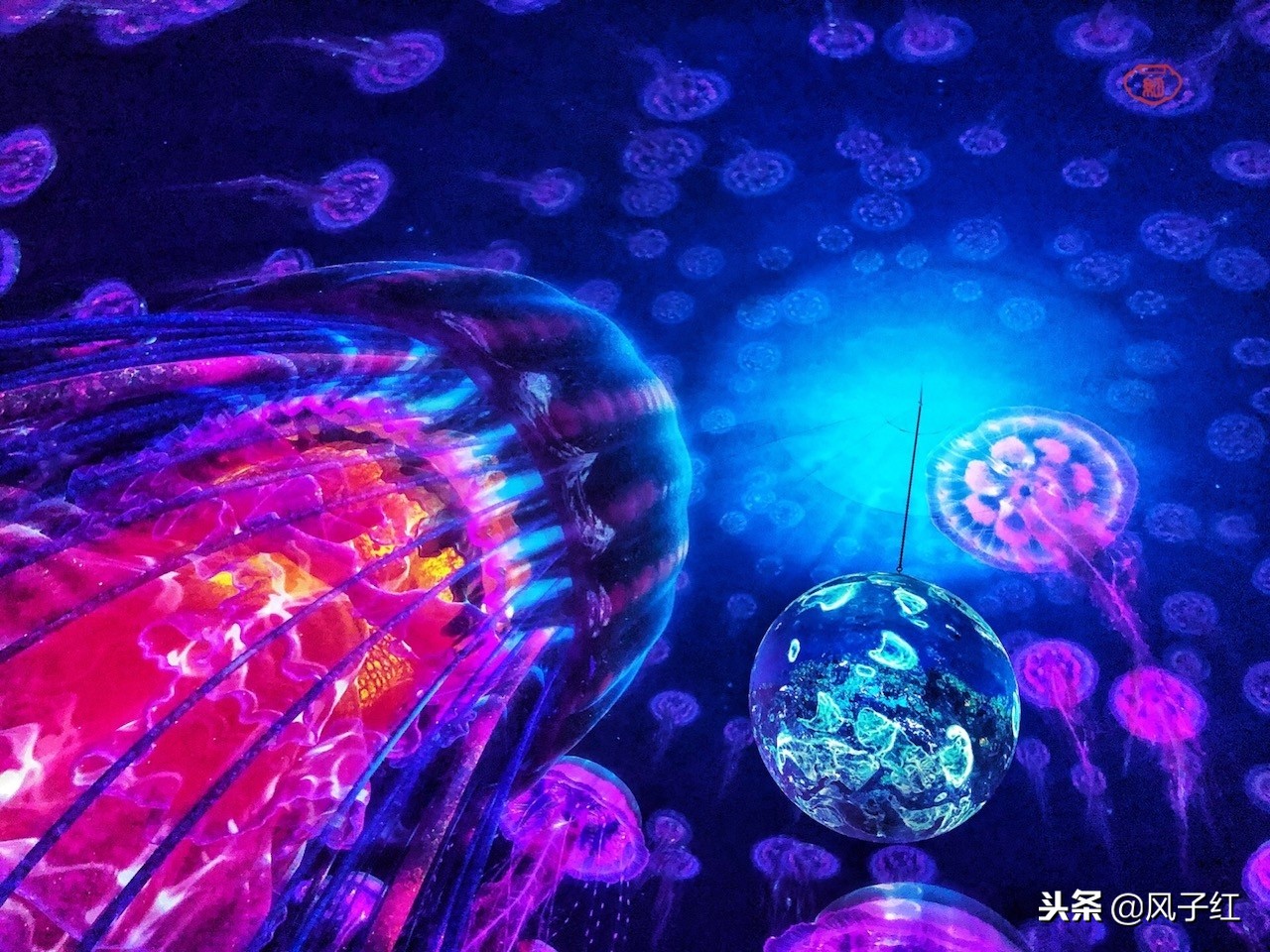 上海新地标丨海昌海洋公园一日游园玩法攻略