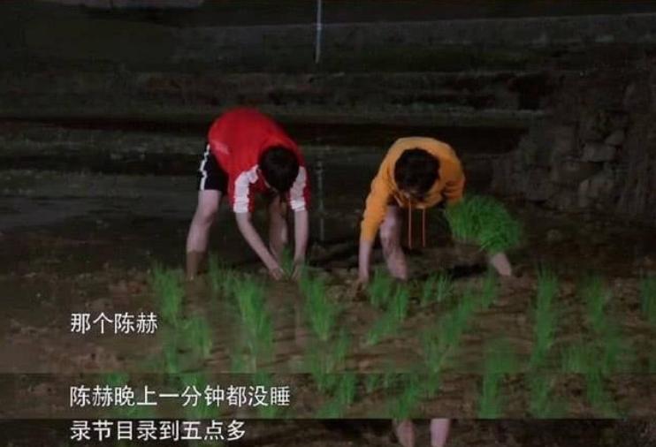 他拯救了综艺大型尴尬现场