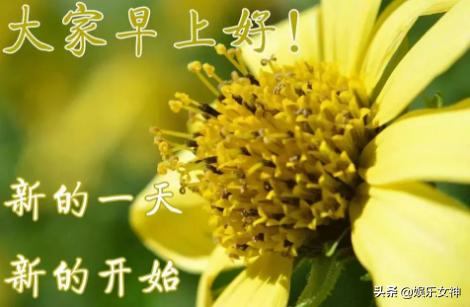 早安短信问候语简短最新版,清晨早安问候祝福语短信内容