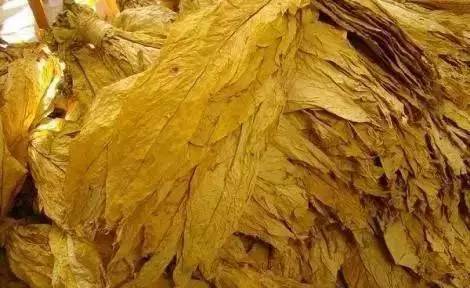 长期抽烟的人戒烟对身体有危害吗,长期吸烟的人对肺有哪些危害