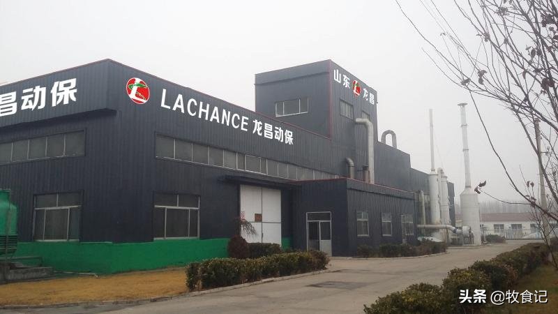 VIV特约丨龙昌动保：“保肝护胆”亦是替抗方案的应有之义