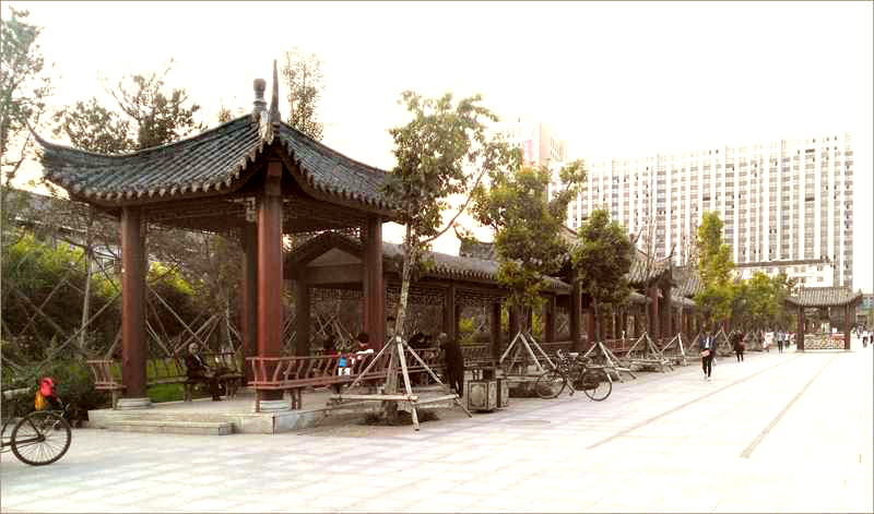 魂牵梦萦呼伦贝尔大草原,魂牵梦萦的呼伦贝尔大草原