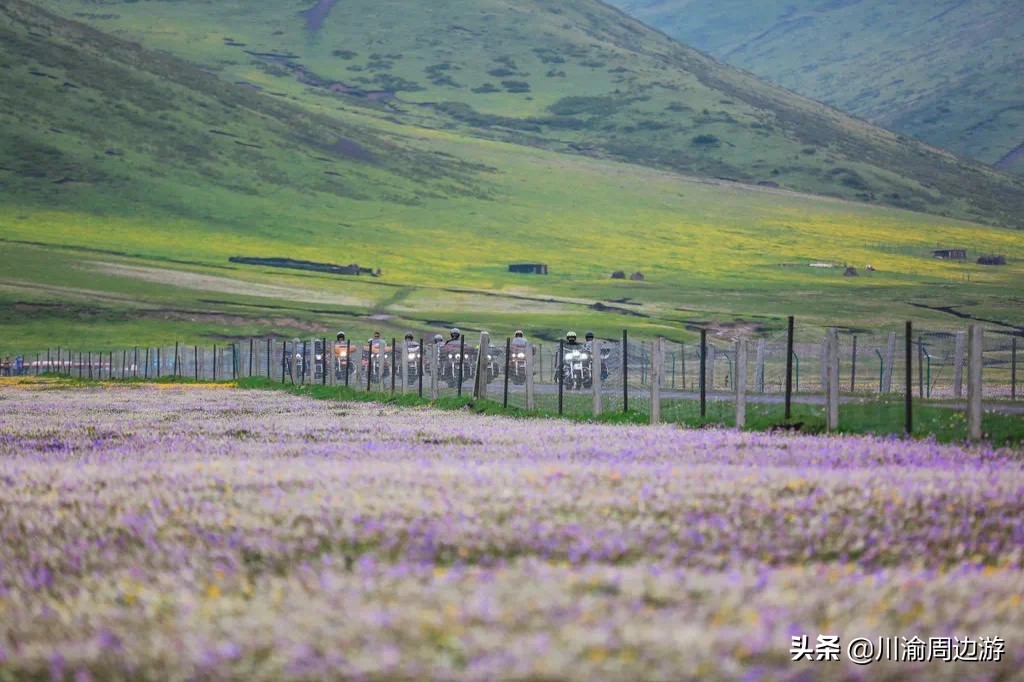 俄么塘花海景区游玩,俄么塘花海攻略2018