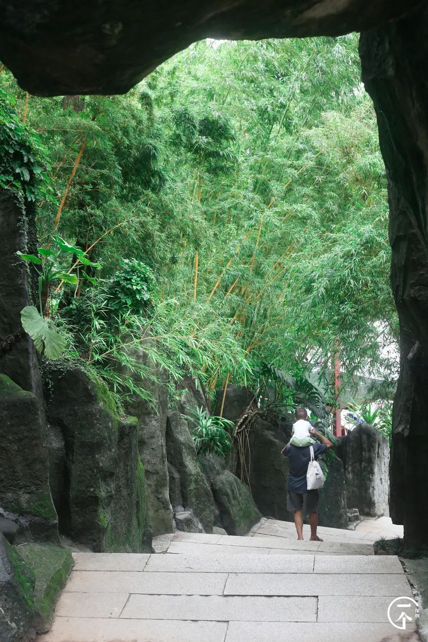 深圳一座被高估的城市,深圳严重被低估的板块
