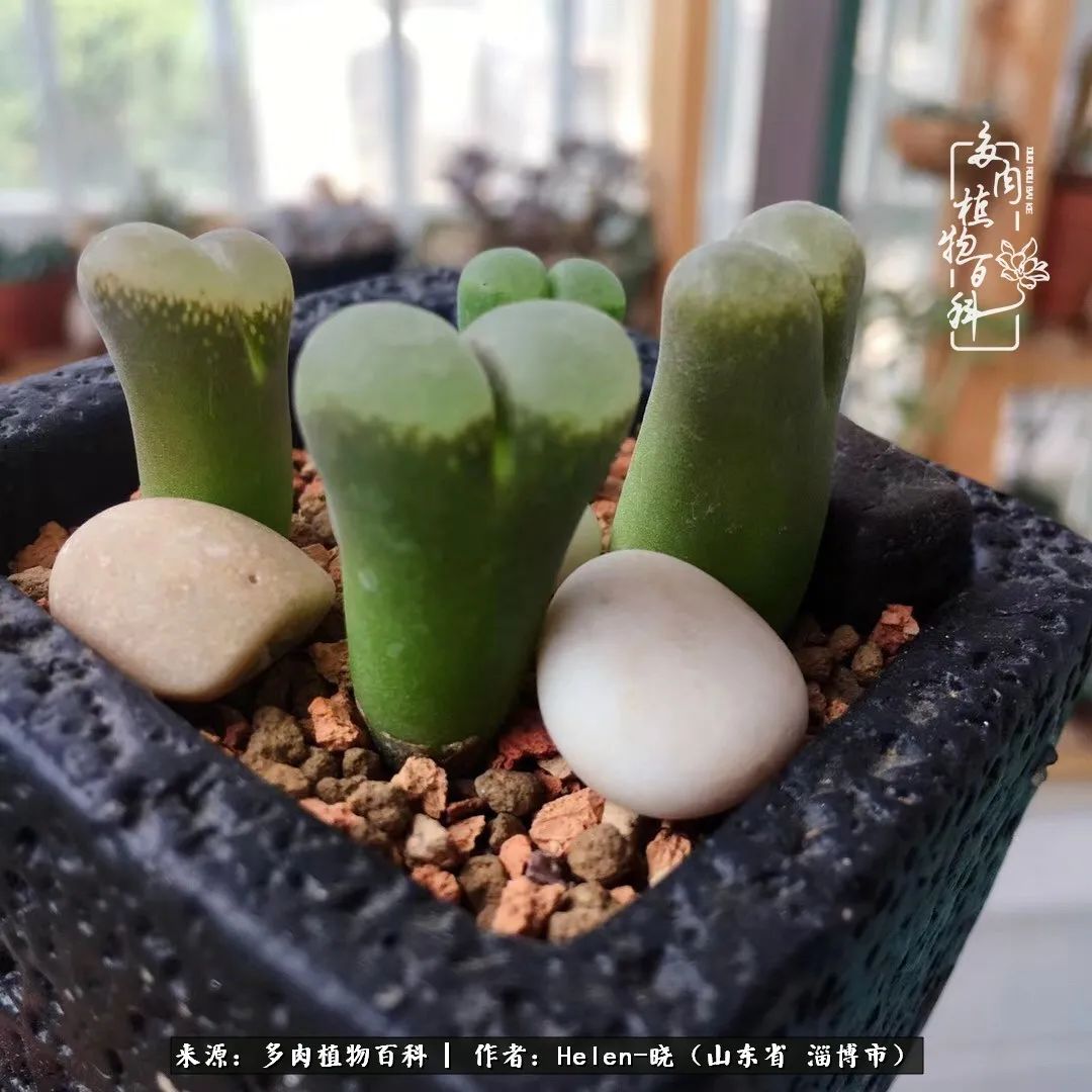 人到中年温暖如初,人到中年岁月静好