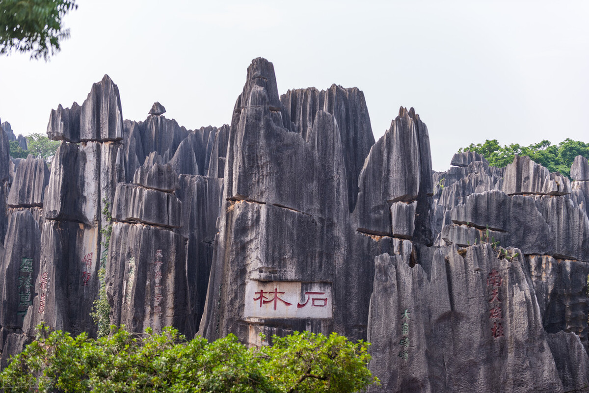 云南有哪些旅游景点分别在哪个市,云南西双版纳旅游景点攻略自由行