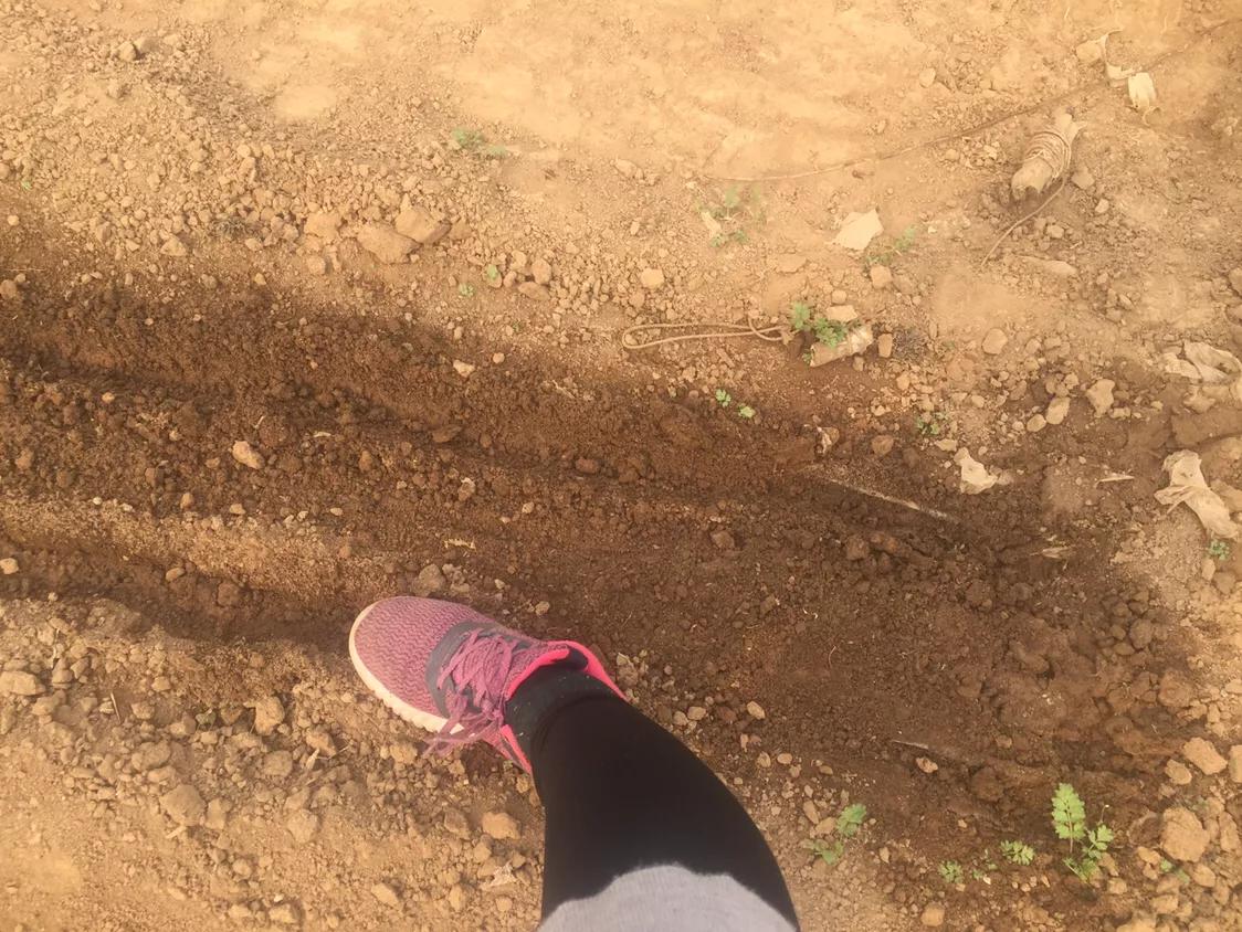 种菜前怎么种不长草,种菜怎么不长草