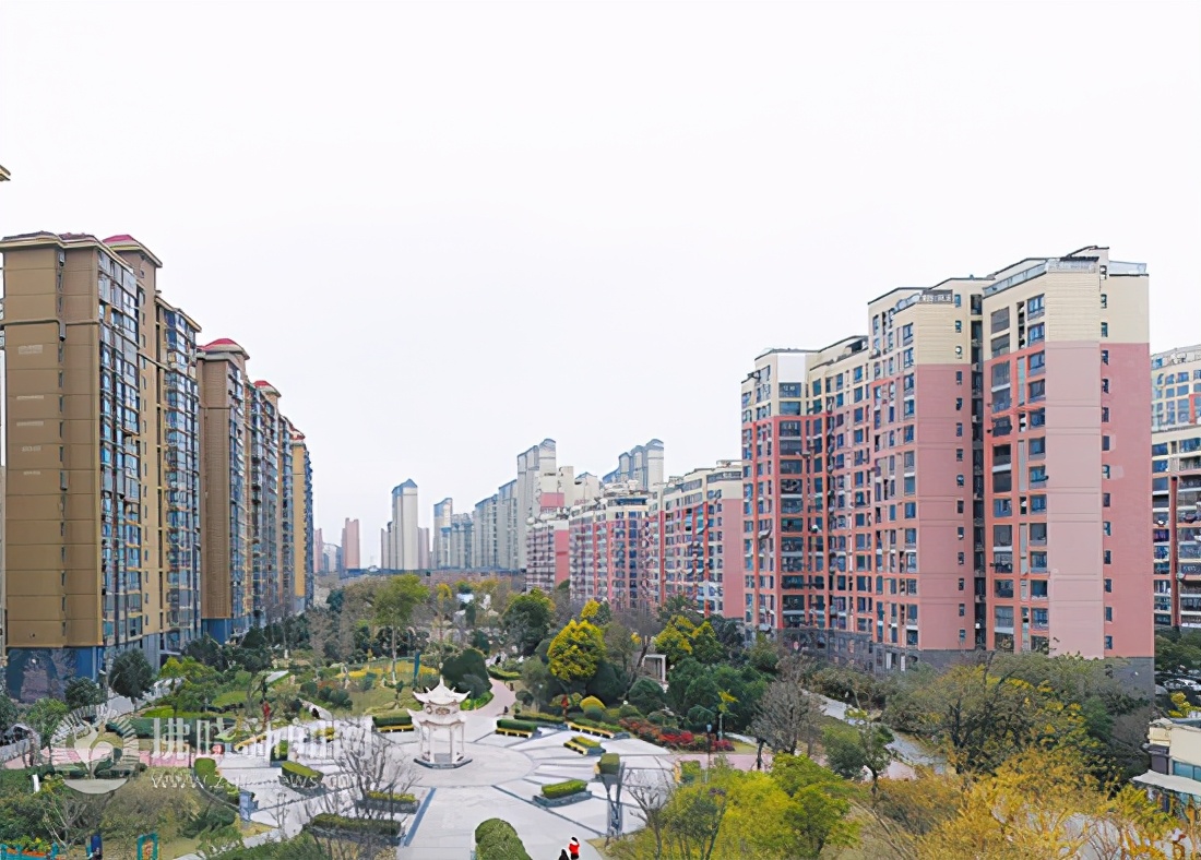 观园社区：高歌猛进开启创城新征程