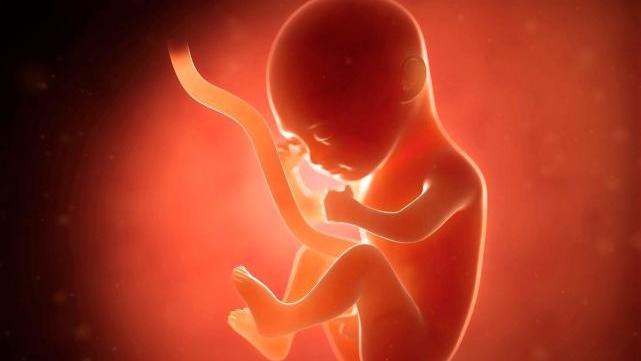 意外怀孕照了ct能要吗,做过ct后发现怀孕了孩子能要吗