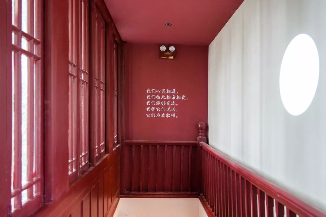 南京玄武湖边还有啥好玩的,玄武湖有什么好玩的