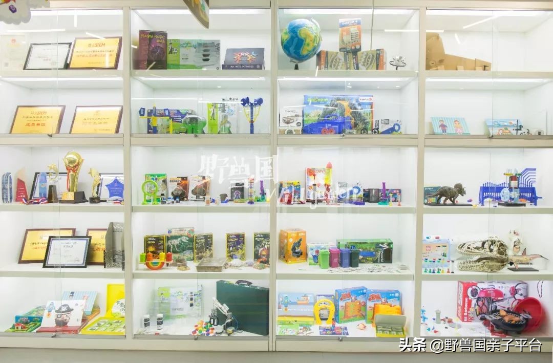 stem教育创始人,stem美国大学