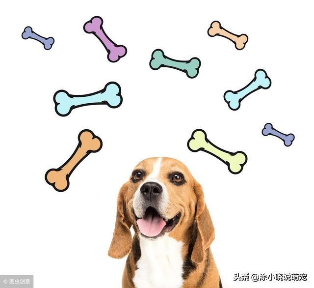 八哥饲养新手必看,饲养八哥幼鸟的方法