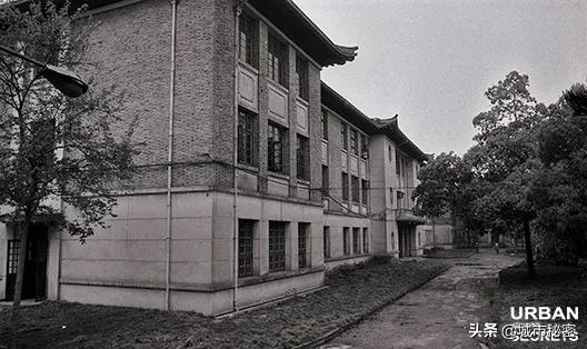 杭州文教区如果不写杭师大，那和一条失去梦想的咸鱼有啥区别