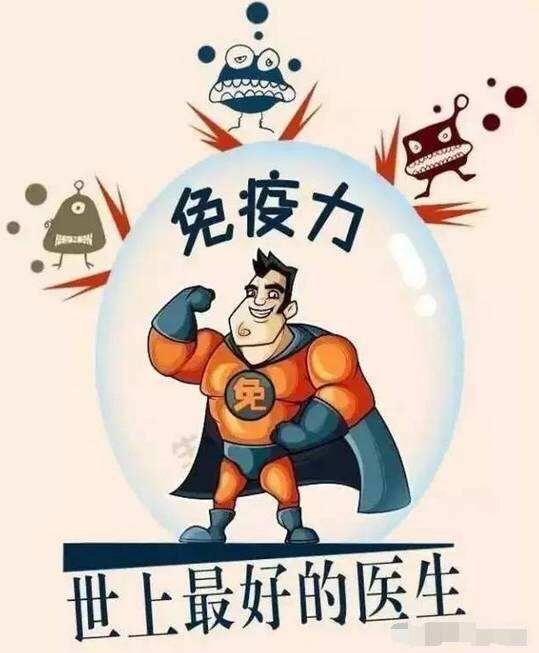 吃海参能提高免疫力增强抵抗力,请问吃海参能增强免疫力吗