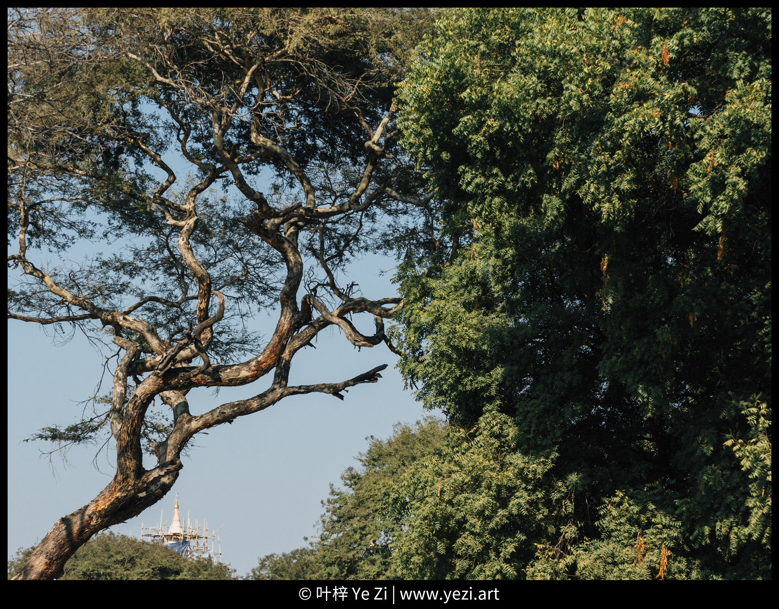 照片如何开启水印相机时间地点,摄影师是如何给照片➕水印的