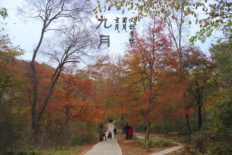 我国的传统节日真有趣,有趣的中国传统节日