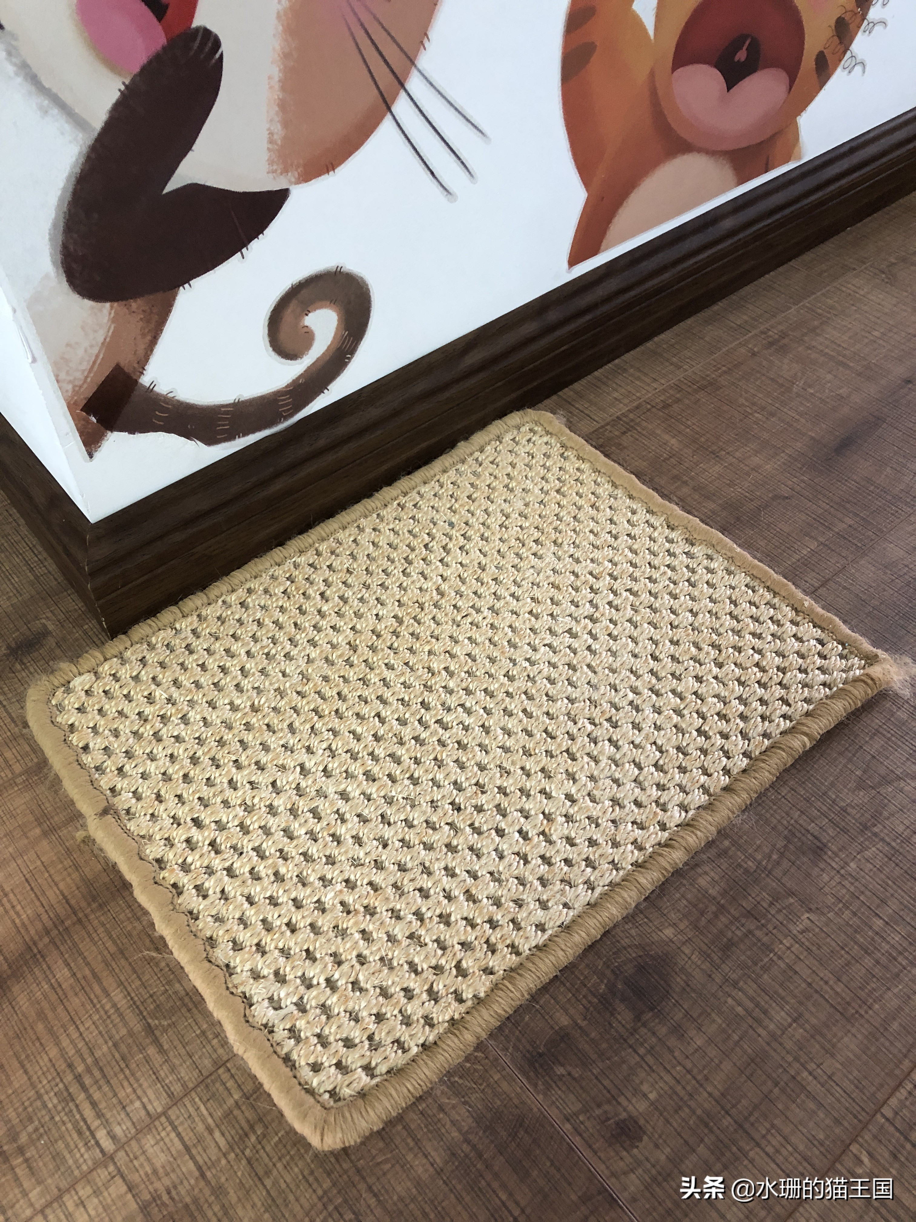 没有不磨爪爪的猫,可猫咪到处乱挠怎么破?看我家猫咪磨爪训练!