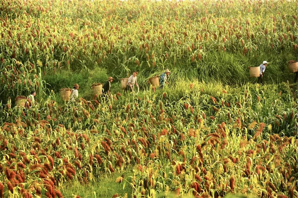 图赏革命圣地,图赏图片