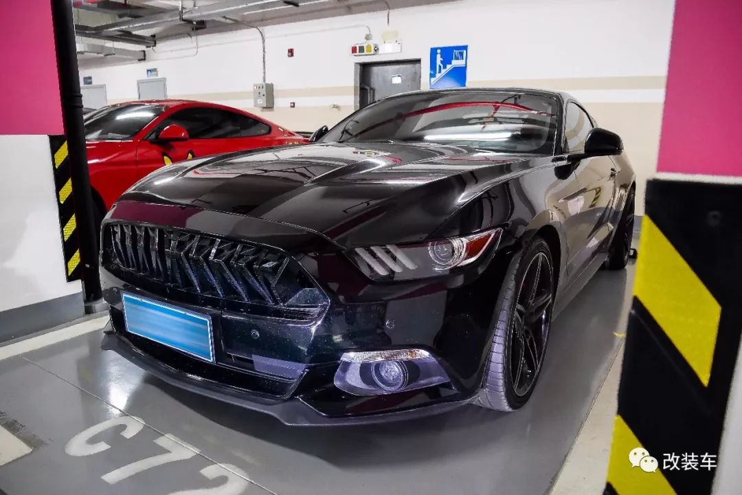 福特mustang杭州,杭州福特野马车友会