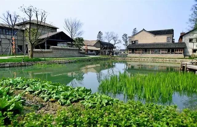 如何打造休闲旅游型美丽乡村,乌村乡村振兴