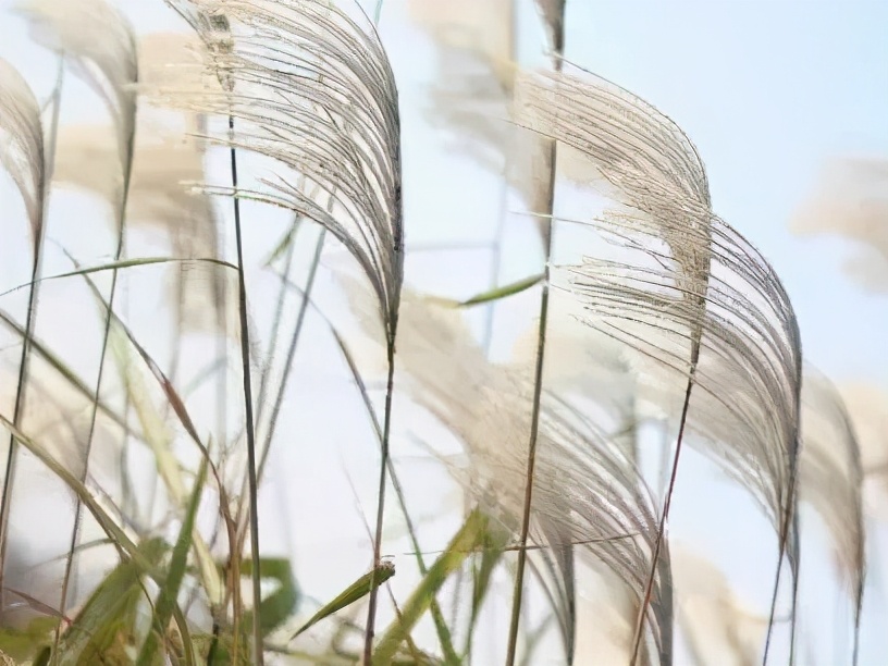 快乐的苏州西山农家乐之旅,苏州西山农家乐自驾游攻略图