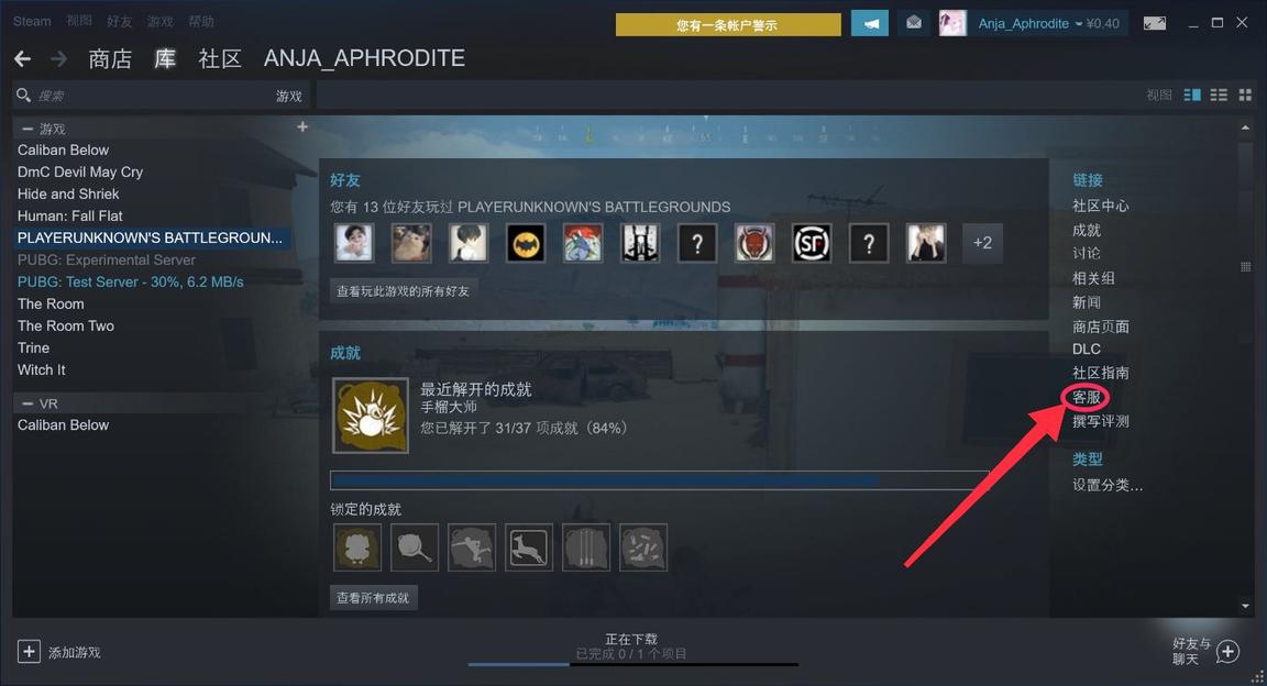 pubg被盗号后永久封禁在哪申诉,pubg开发者永久封禁能申诉回来吗