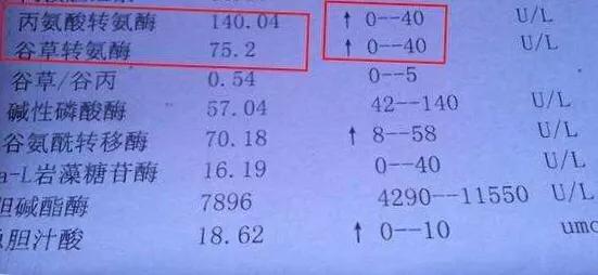乙肝大三阳吃药抗病毒能治愈吗,乙肝大三阳抗病毒治疗多久能转阴