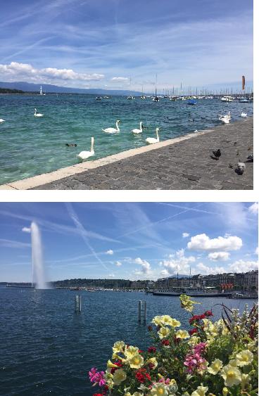 欧游散记原文,欧游散记无注释版