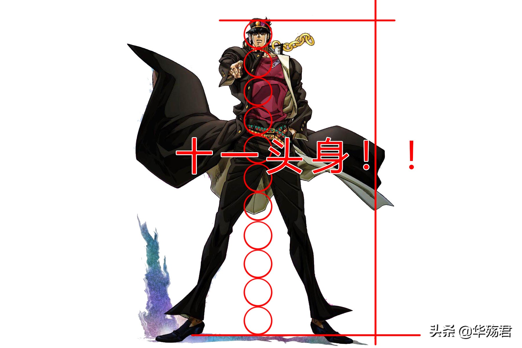 二次元人体结构,二次元人体结构躯干