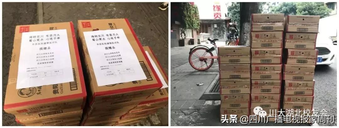 支援川大,支援武汉的川军