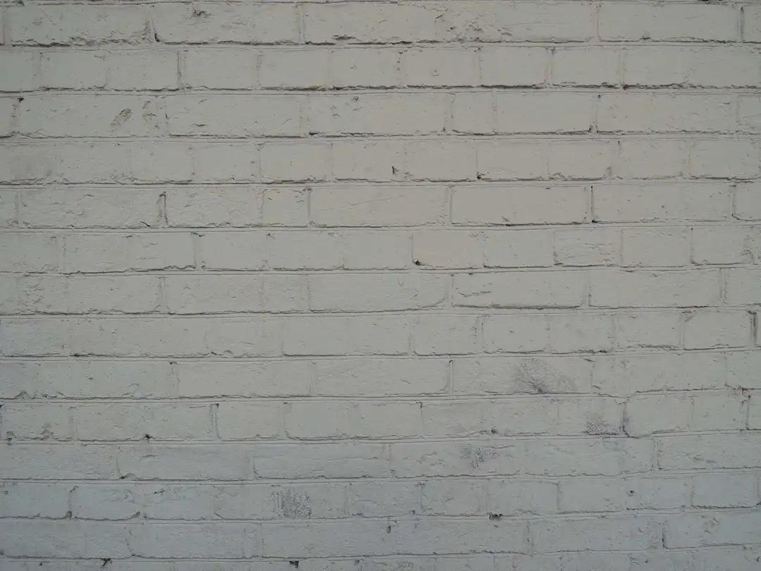 无聊的人类做着无聊的事,因为无聊大家会做出什么事情来